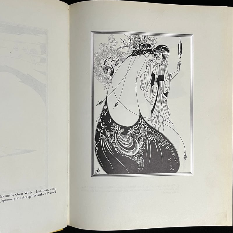 THE BEST OF BEARDSLEY | Soleil et Lune Online S
