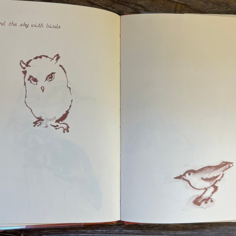 THIS COULD BE SUCH A BEAUTIFUL WORLD | Soleil e