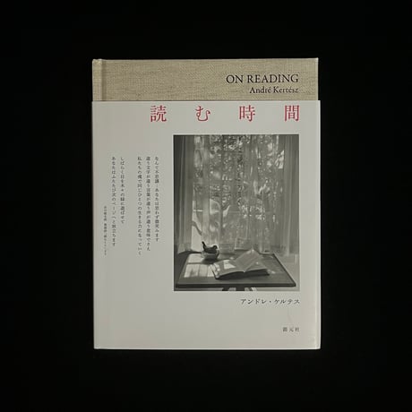 アンドレ・ケルテス | STORES