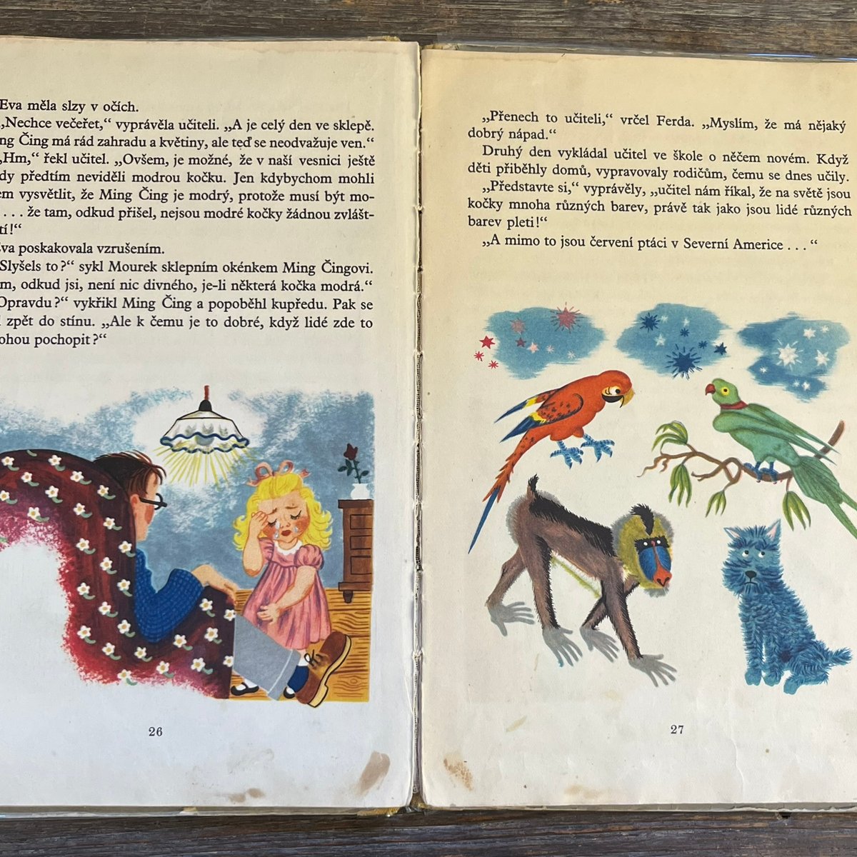 絵本・児童書 MODRY KOCOUREK MODRY KOCOUREK | Soleil et Lune Online Store