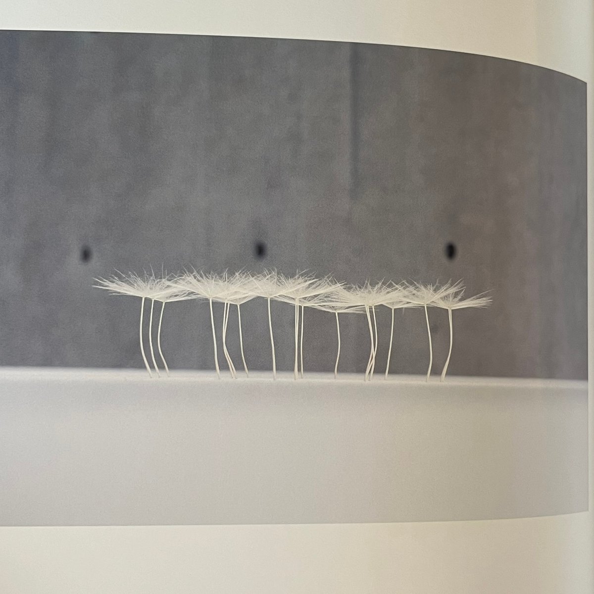 宙をつつむ | Soleil et Lune Online Store