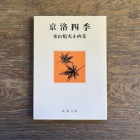 平岡瞳画集「星屑珈琲+青い散歩道」 | Soleil et Lune Online Store