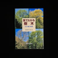 巴里上海歓楽郷案内 | Soleil et Lune Online Store