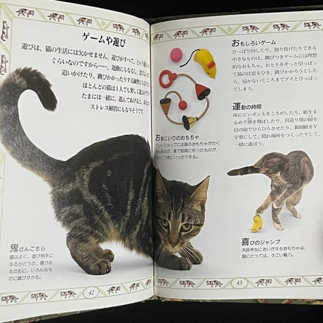 （Soleil松陰神社前）猫のお手入れ