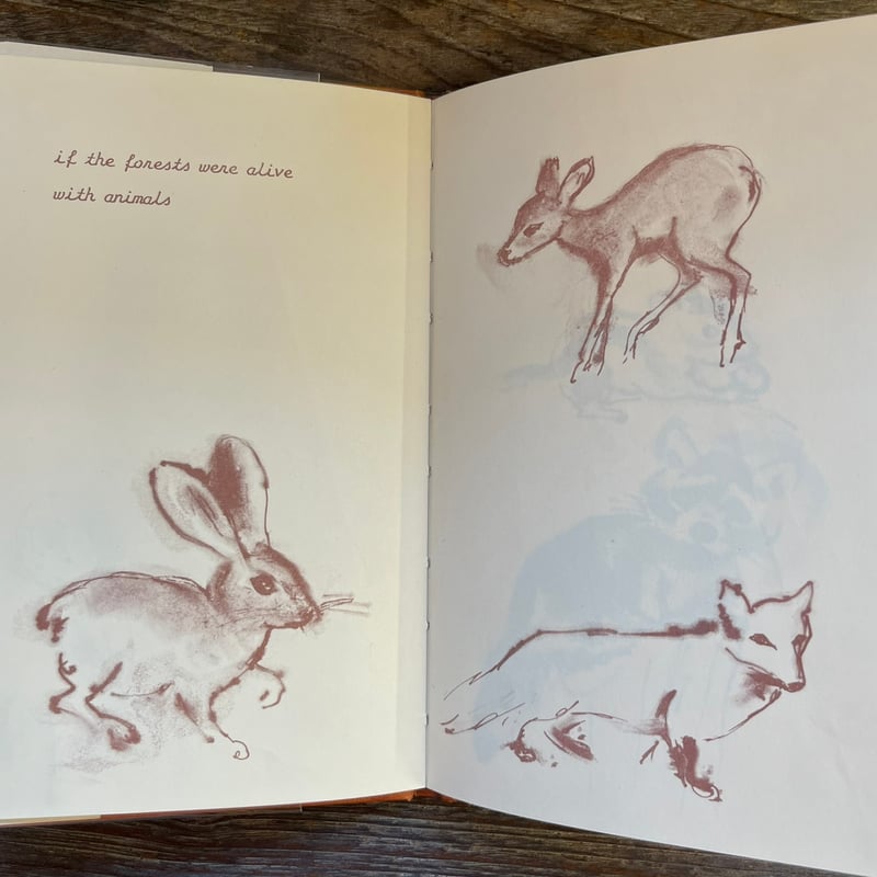 THIS COULD BE SUCH A BEAUTIFUL WORLD | Soleil e