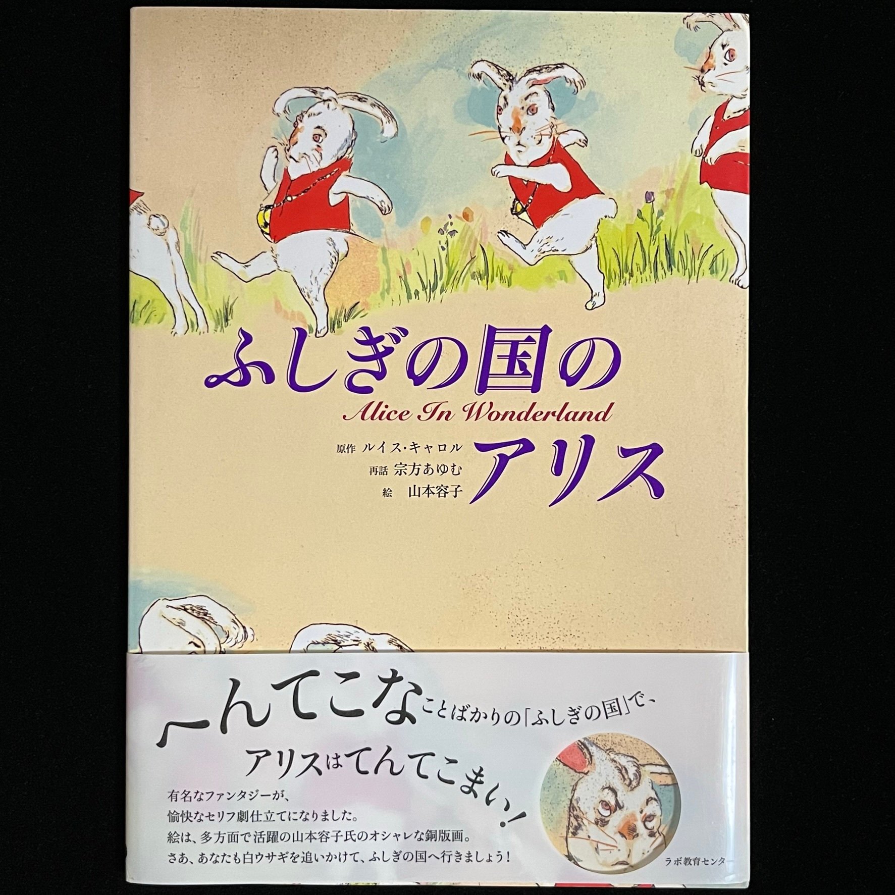 Alice's Adventures in Wonderland 銅版画山本容子 original