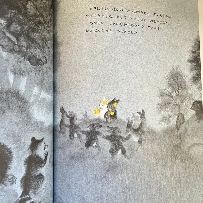 双子黒白うさぎさん 17041071_6.jpg