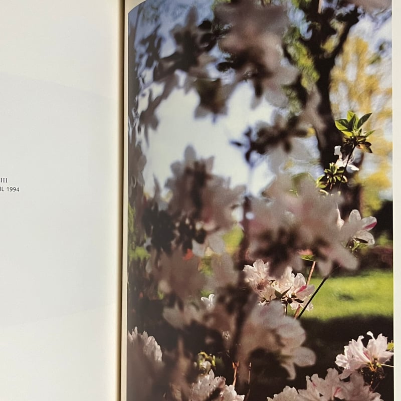 In Your Dreams | Soleil et Lune Online Store