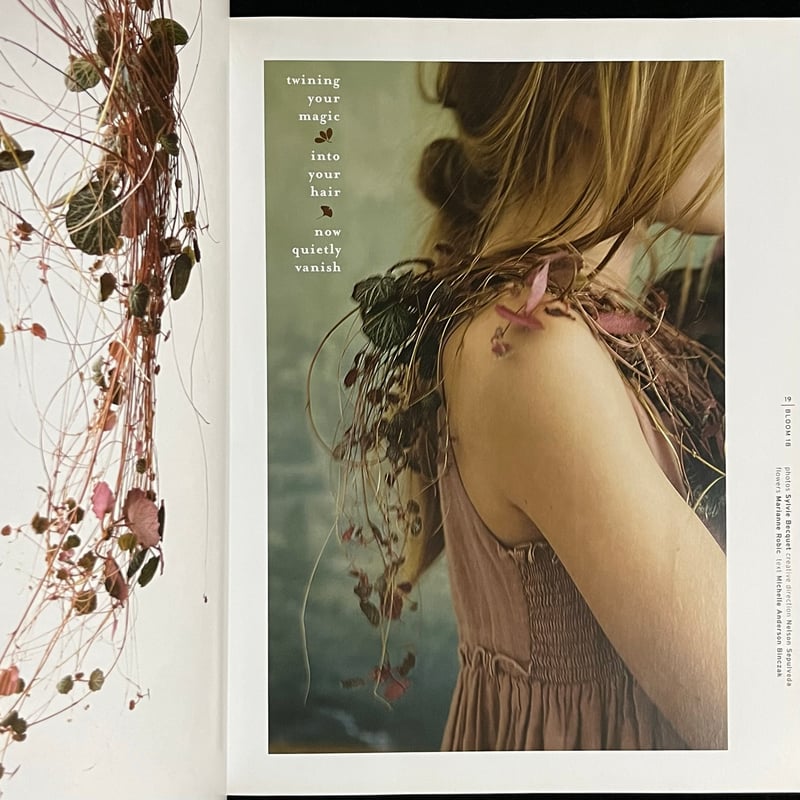 bloom / a horti-cultural view Issue 18 | Soleil
