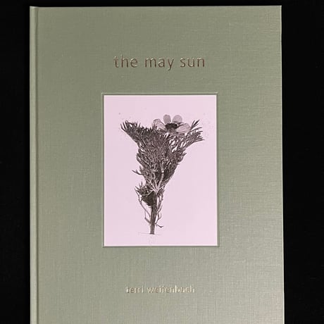 terriweifenbach | STORES