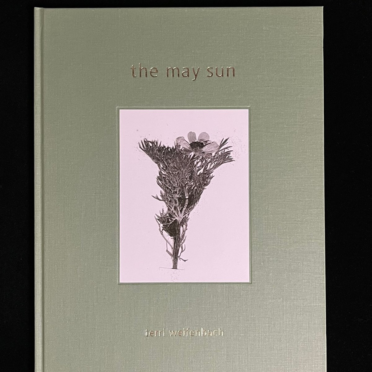 テリ・ワイフェンバックTerri Weifenbach: The May Sun The may sun - Terri Weifenbach