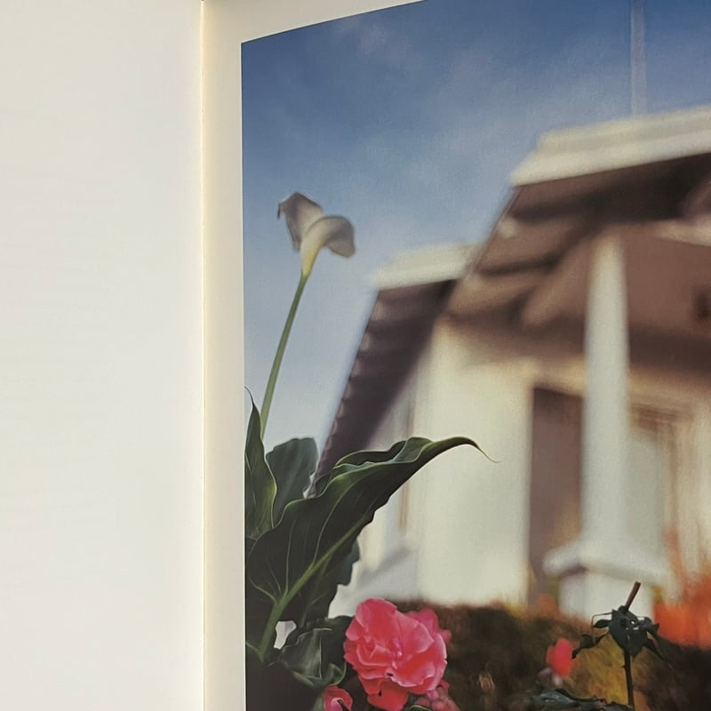 In Your Dreams | Soleil et Lune Online Store