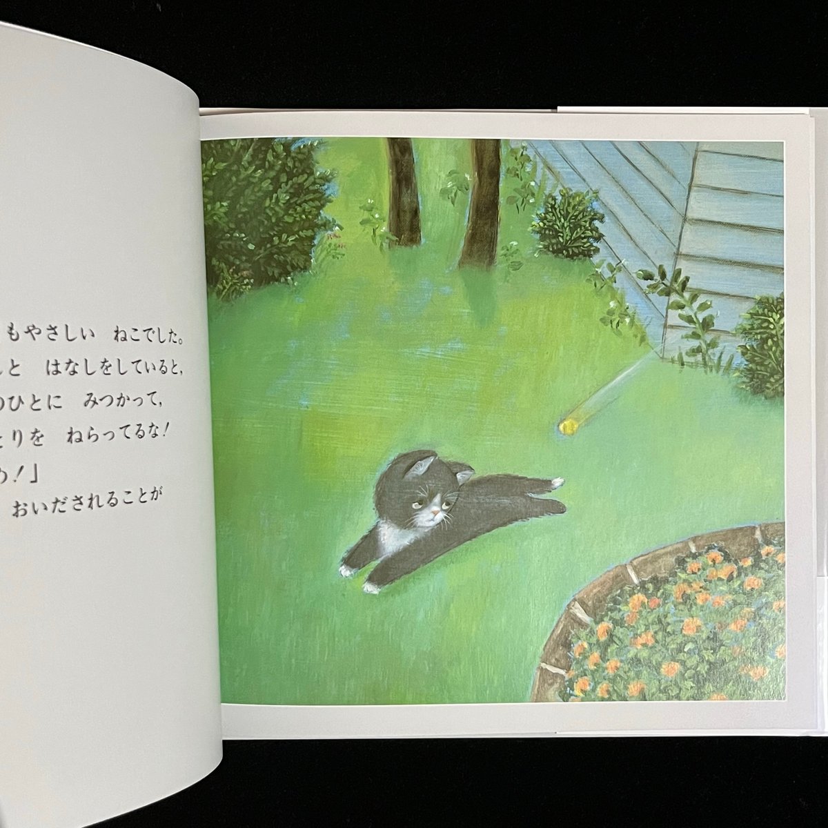 ことりページ 葉っぱ小屋さんで販売済）ことりとねこのものがたり | Soleil et