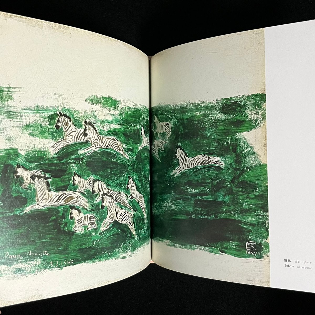 常玉１８９５-１９６６ モンパルナスの華人画家/亜紀書房/二村淳子（単行本） 常玉 SANYU 1895-1966―モンパルナスの華人画家 | 二村 淳子 |本