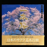 生活ごよみー夏 美しい日々、心くばり | Soleil et Lune Online
