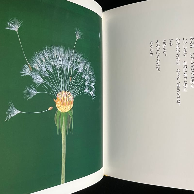 たんぽぽ | Soleil et Lune Online Store