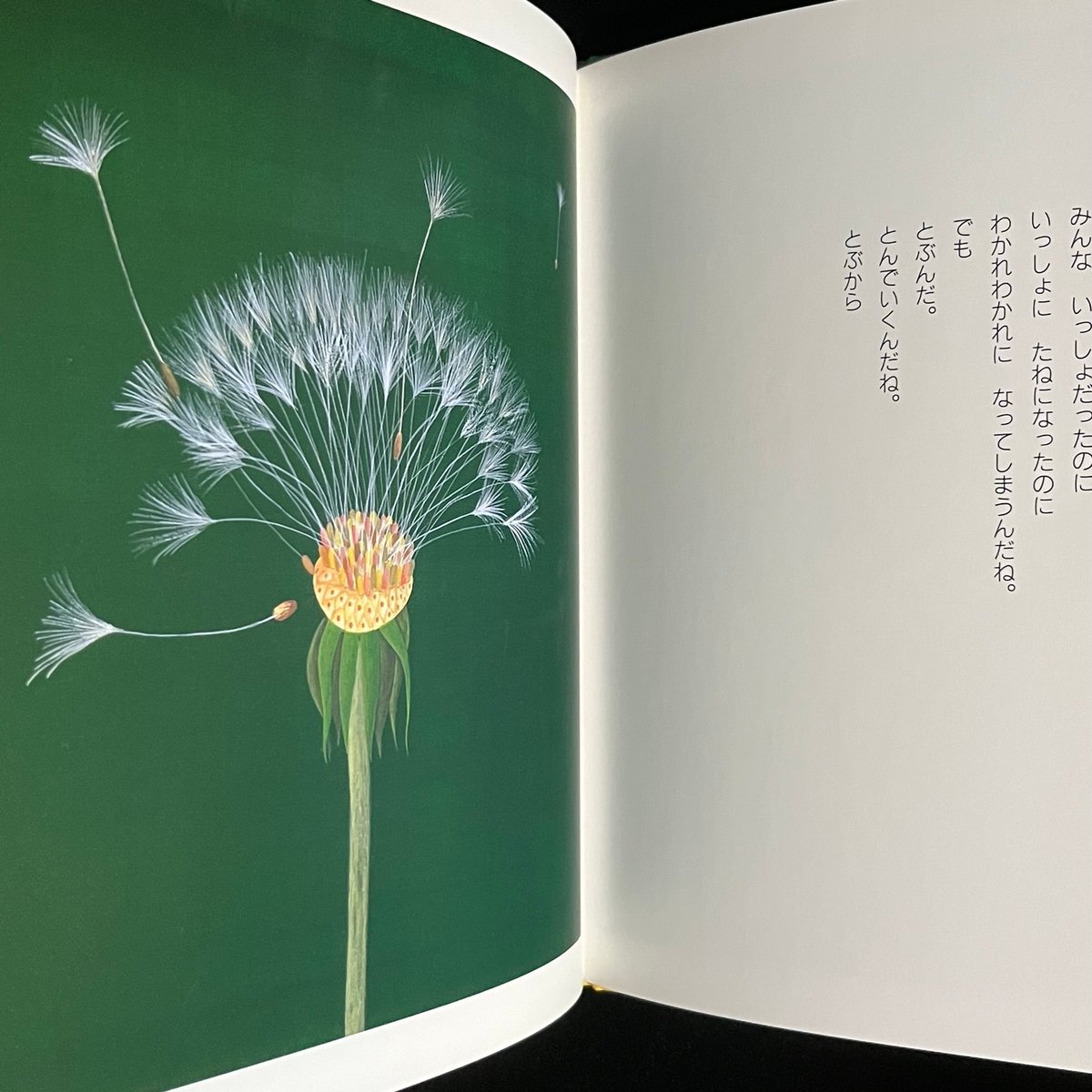 たんぽぽ | Soleil et Lune Online Store