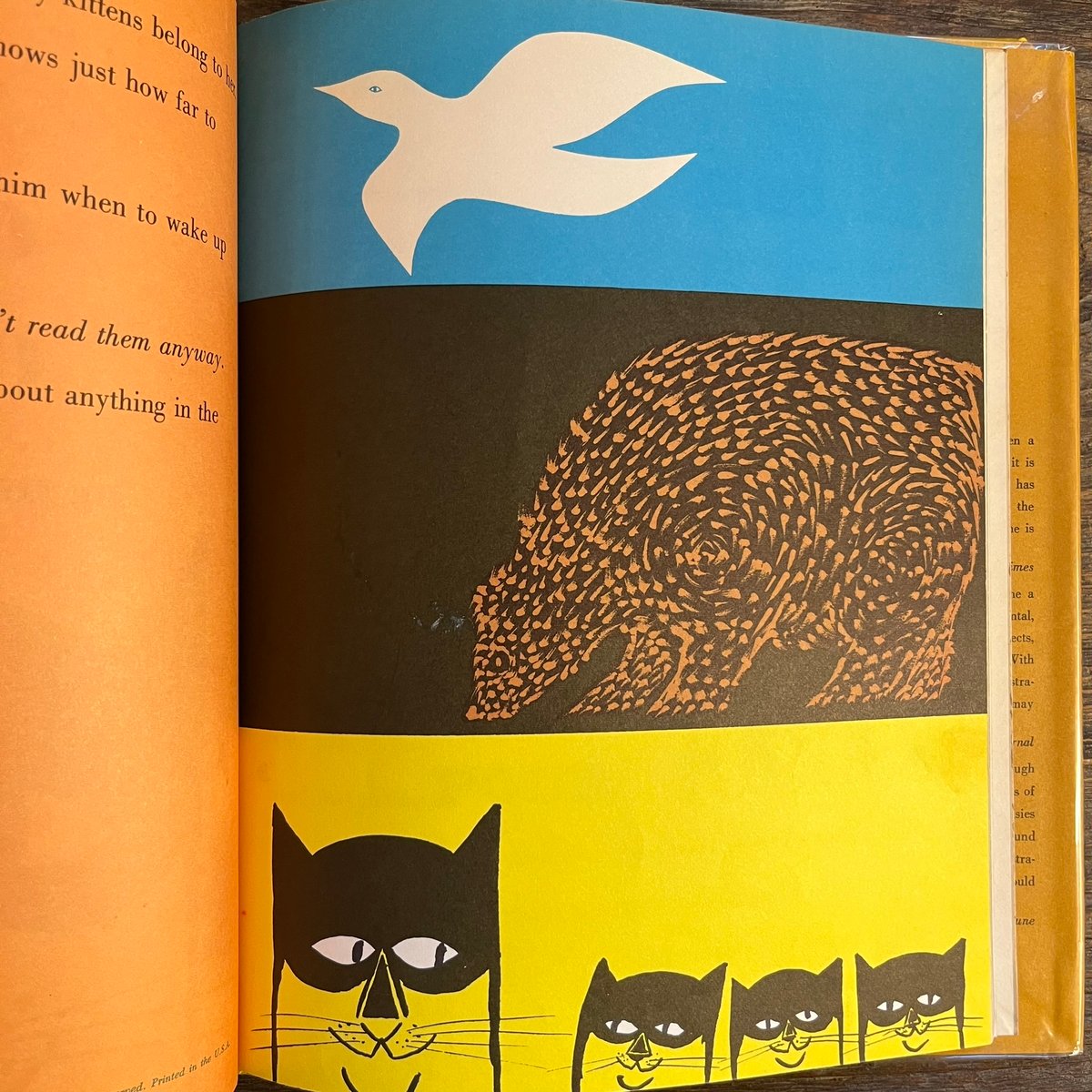 A Cat Can't Count | Soleil et Lune Online Store