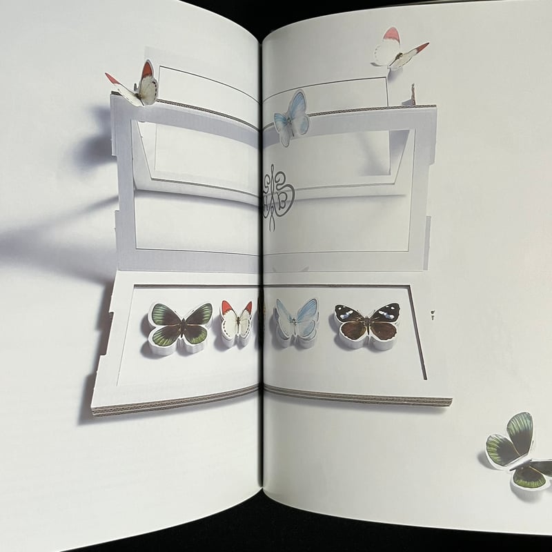 KIGI | Soleil et Lune Online Store