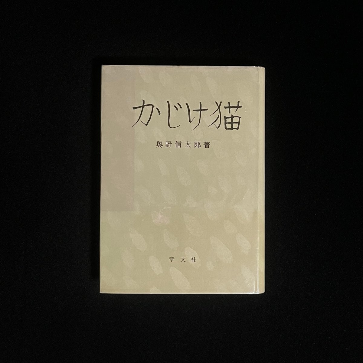 公の場での発言・インタビュー報道記録