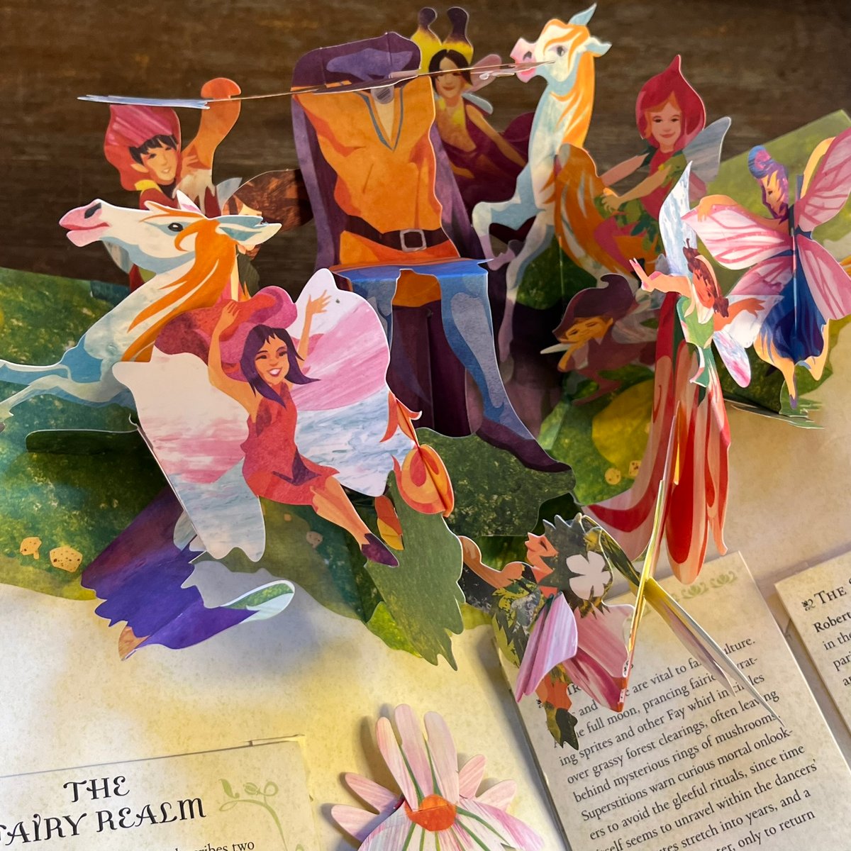 Fairies and Magical Creatures（妖精と魔法の生き物 洋書版） 絵本