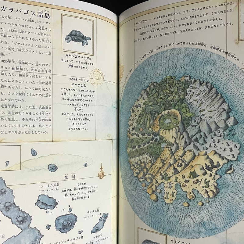 生命の樹 チャールズ・ダーウィンの生涯 | Soleil et Lune Online Store