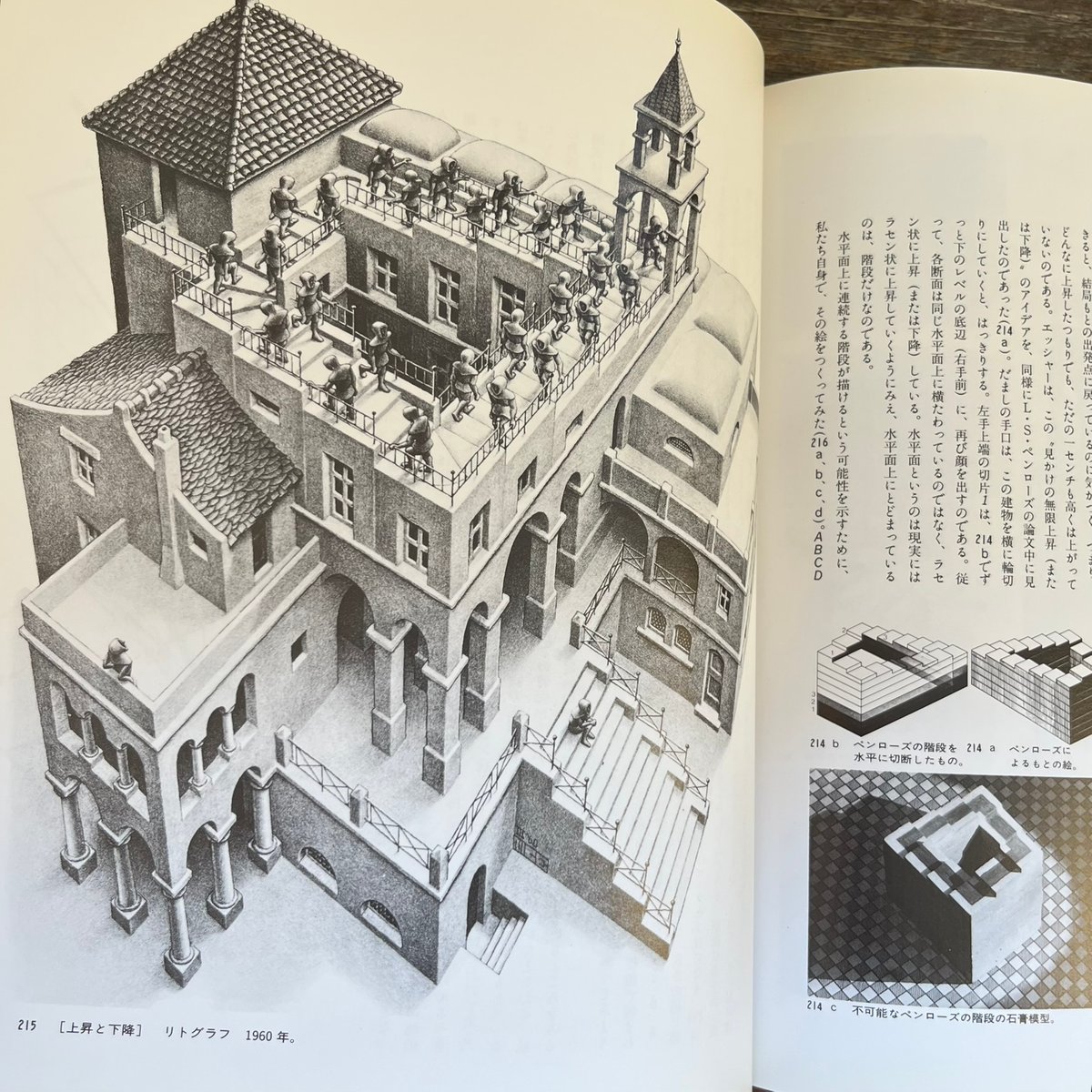 エッシャー　作品集 fit=scale-down,w=1200