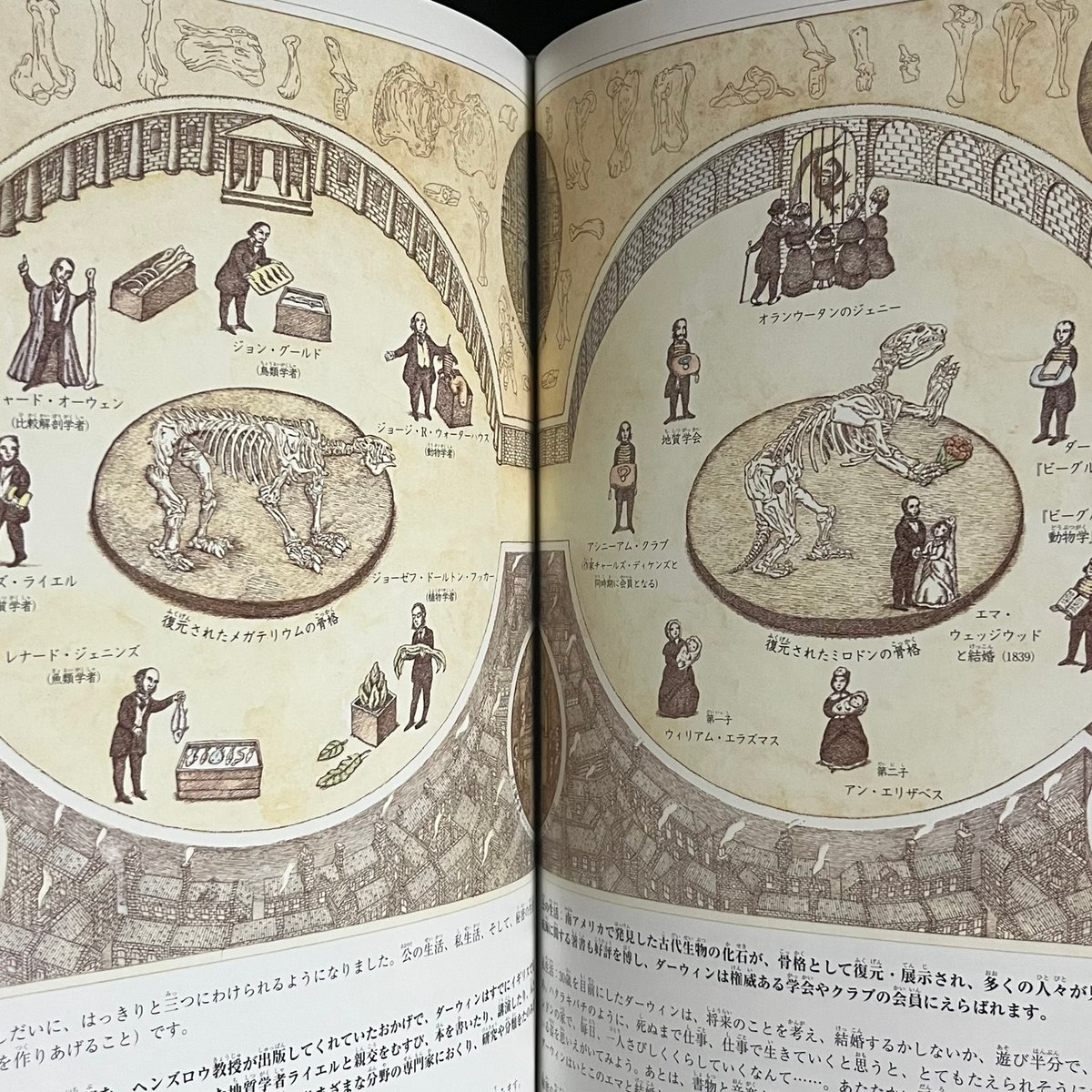 生命の樹 チャールズ・ダーウィンの生涯 | Soleil et Lune Online Store