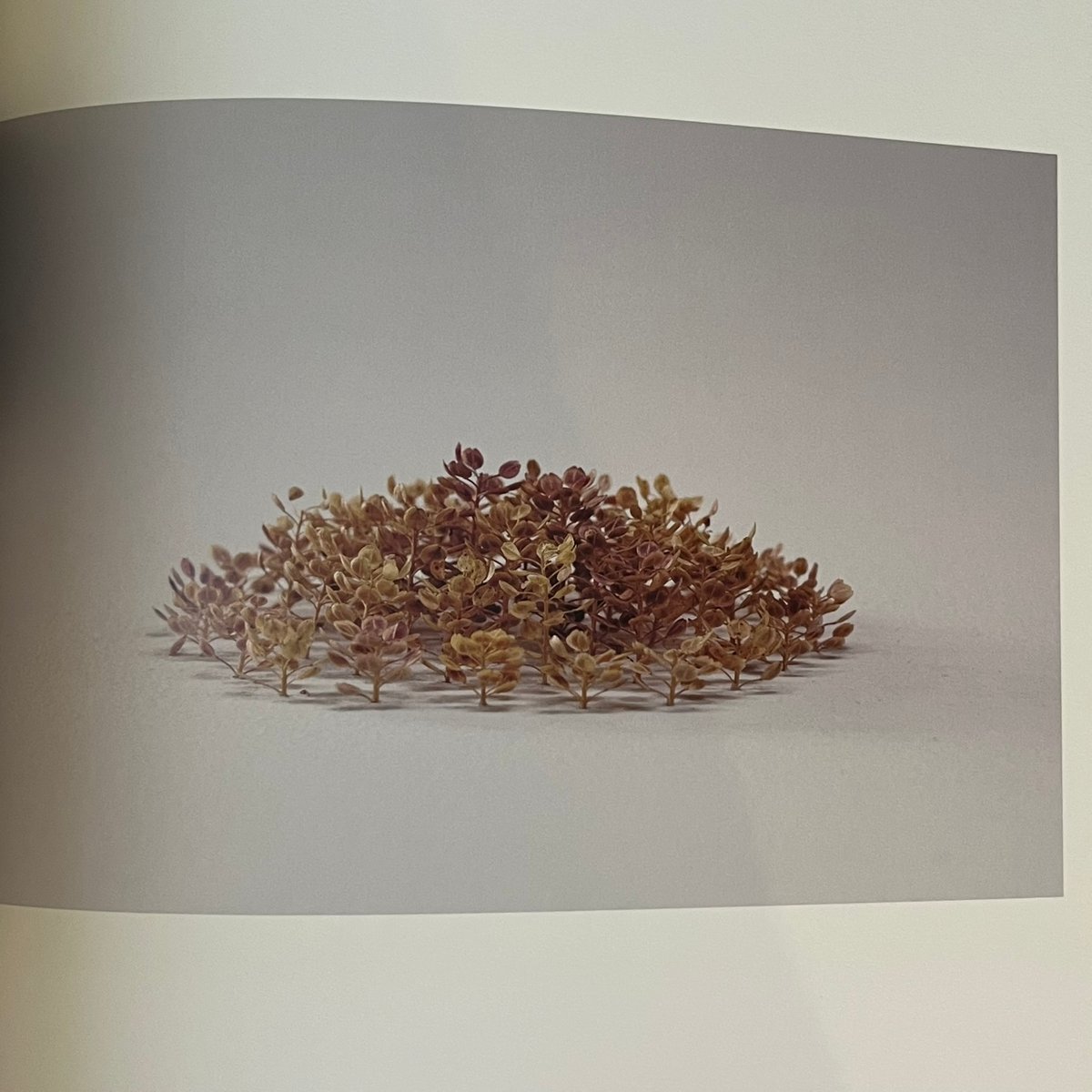 宙をつつむ | Soleil et Lune Online Store