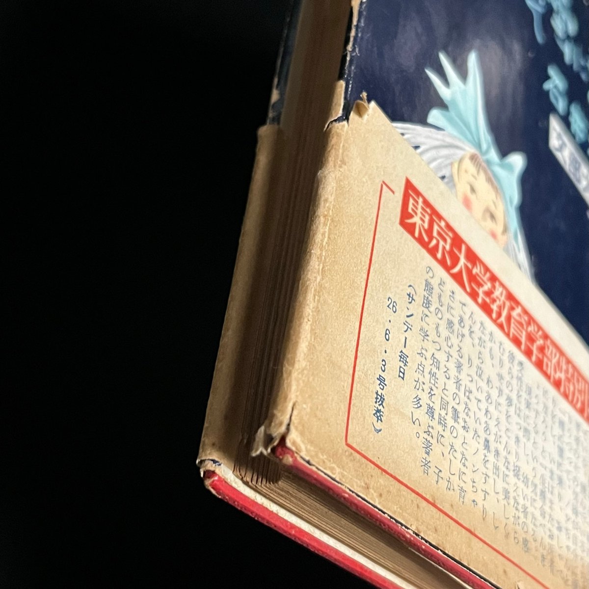 のんちゃん雲に乗る Amazon.co.jp: ノンちゃん雲に乗る [DVD] : 原節子, 鰐渕晴子, 藤田進