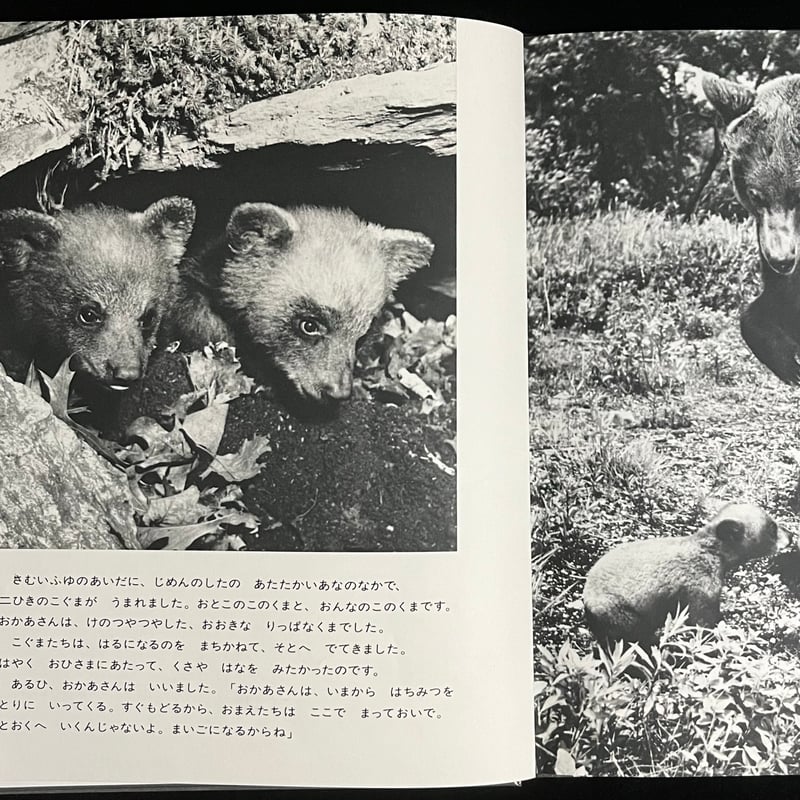 Soleil松陰神社前）二ひきのこぐま | Soleil et Lune Online Store