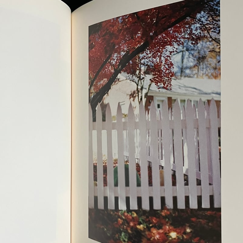Between Maple and Chestnut | Soleil et Lune Onl