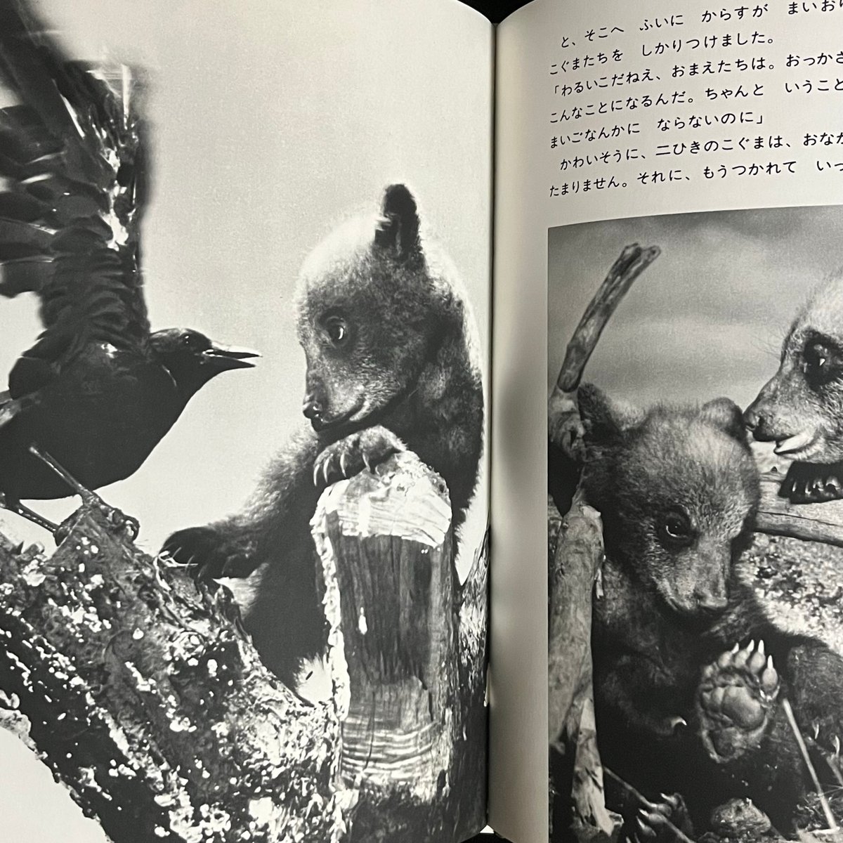 Soleil松陰神社前）二ひきのこぐま | Soleil et Lune Online Store