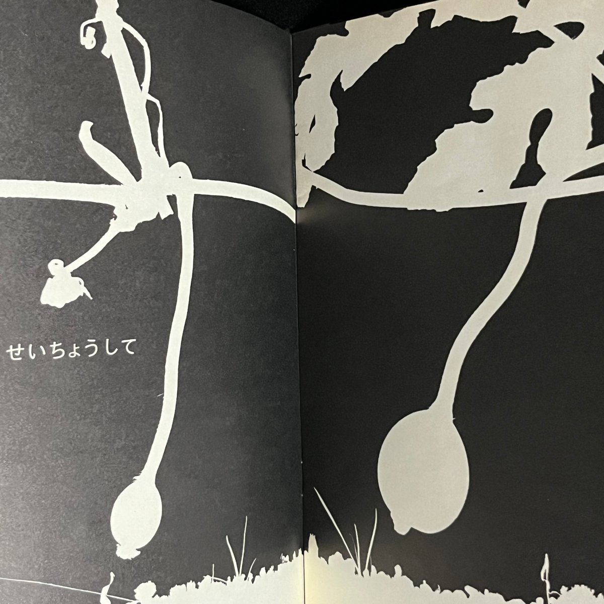 すいかページ すいか かがくのとも | Soleil et Lune Online Store