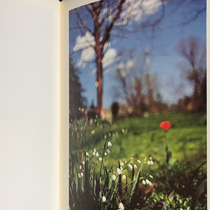 In Your Dreams | Soleil et Lune Online Store