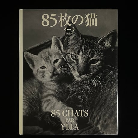 （Soleil松陰神社前）85枚の猫