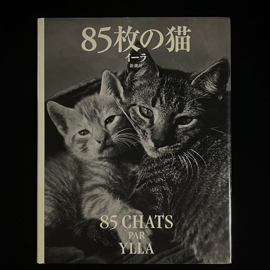 6527e8ad5348c50001c8a47f