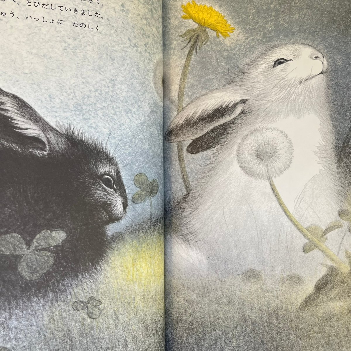 しろいうさぎとくろいうさぎ | Soleil et Lune Online Store
