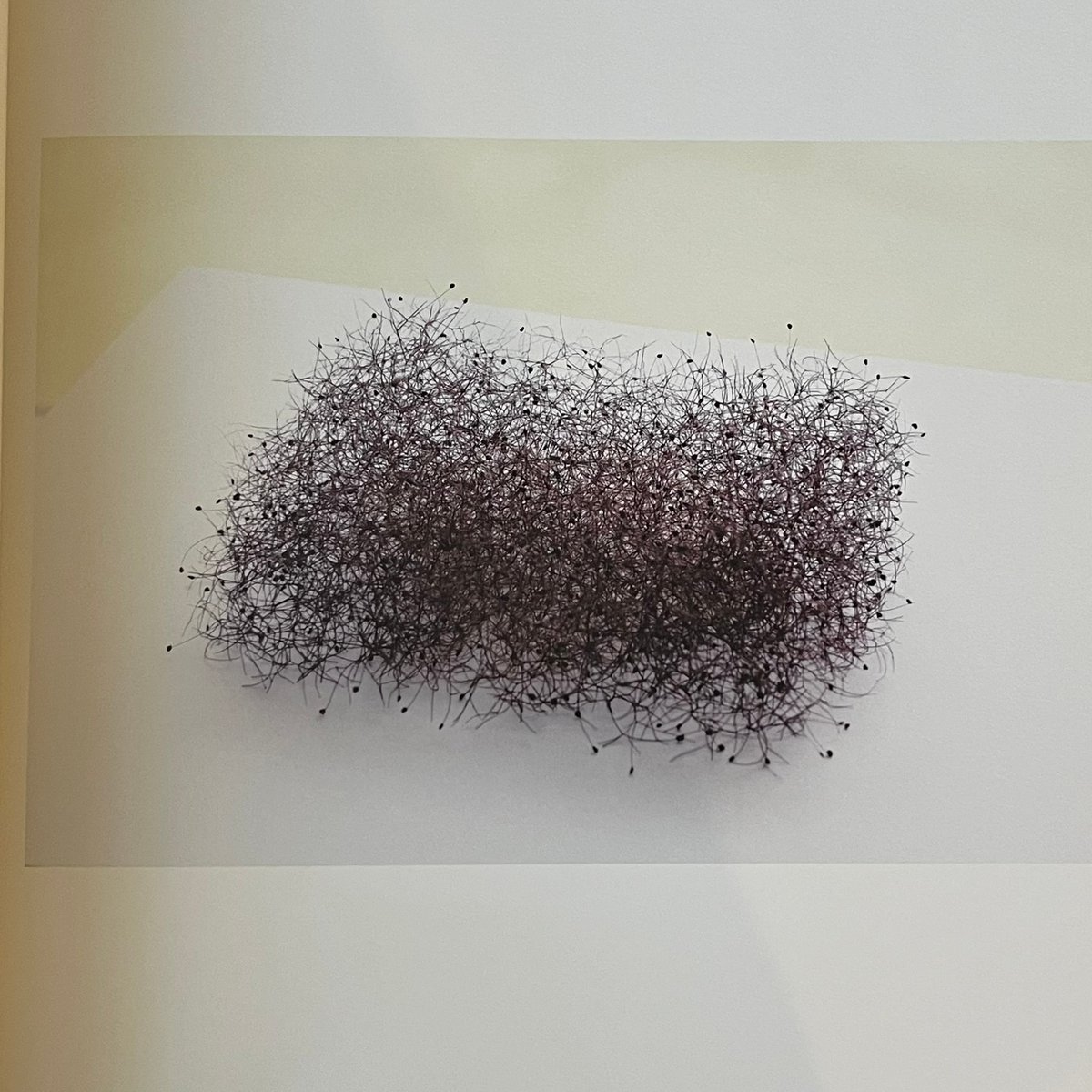 宙をつつむ | Soleil et Lune Online Store