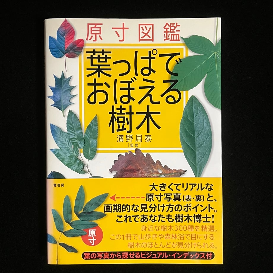 65222b23cd37580001997294