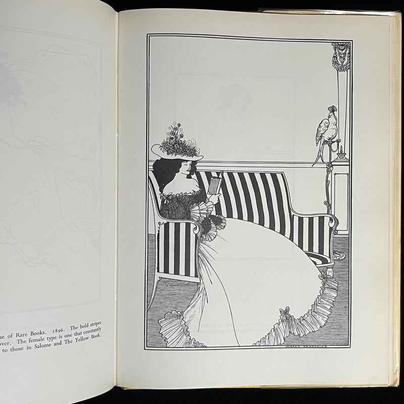 THE BEST OF BEARDSLEY | Soleil et Lune Online S