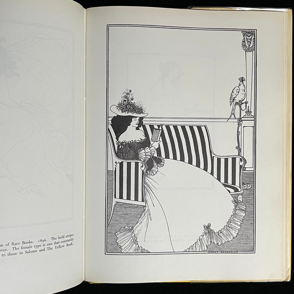 THE BEST OF BEARDSLEY | Soleil et Lune Online S