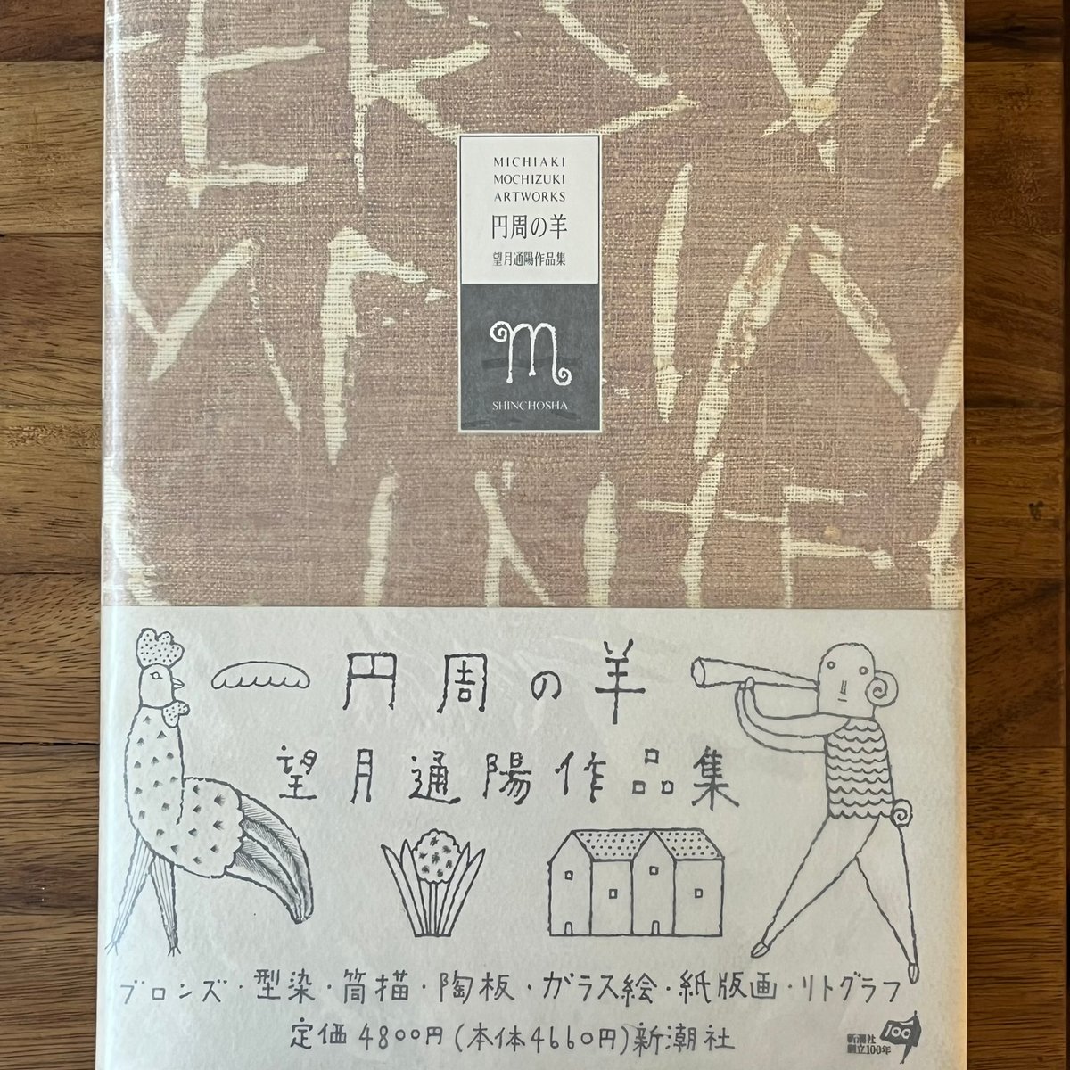 望月通陽『円周の羊』 望月通陽作品集 円周の羊｣ | 山田書店美術部オンラインストア
