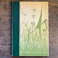 刺しゅう ノルディスカ作品集 | Soleil et Lune Online Store