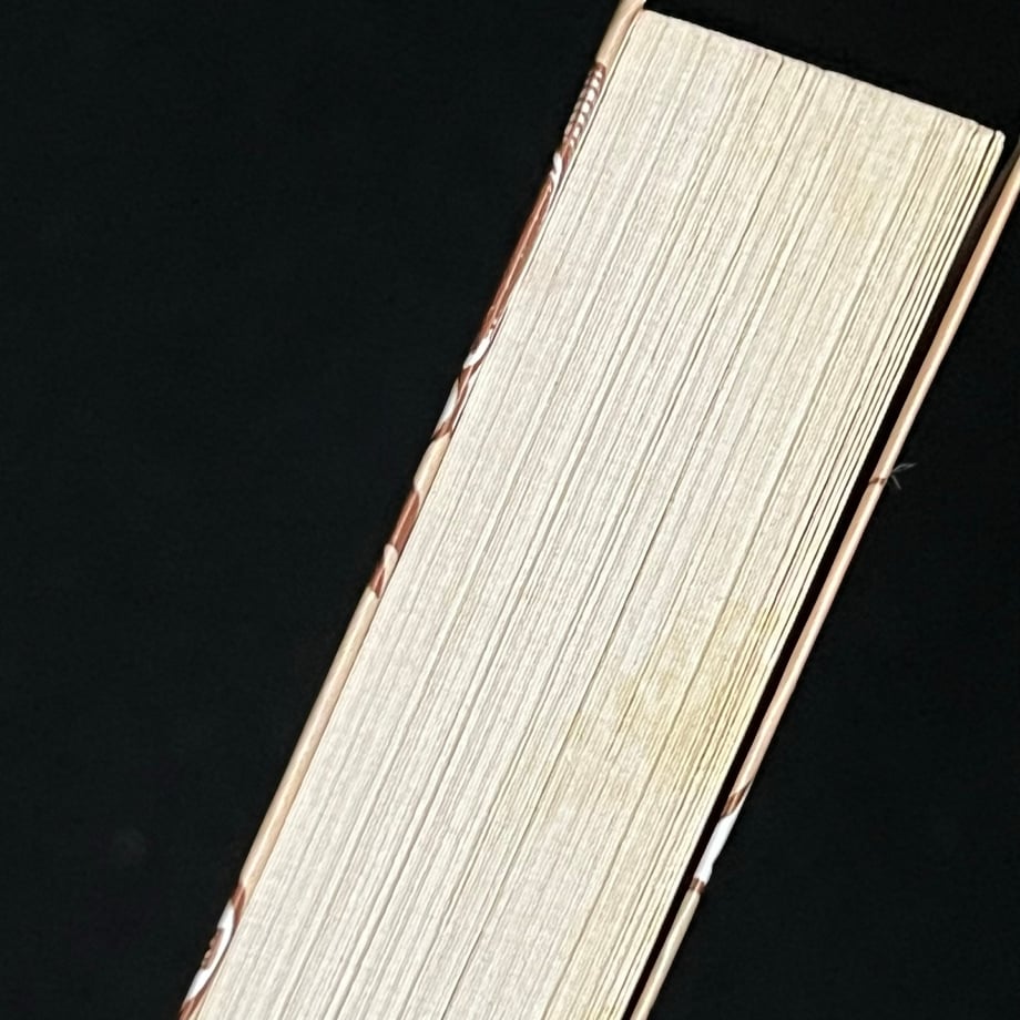 65db1868b46a370001f4aaf7