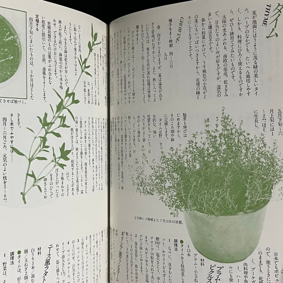 6656cf493631db0001461667
