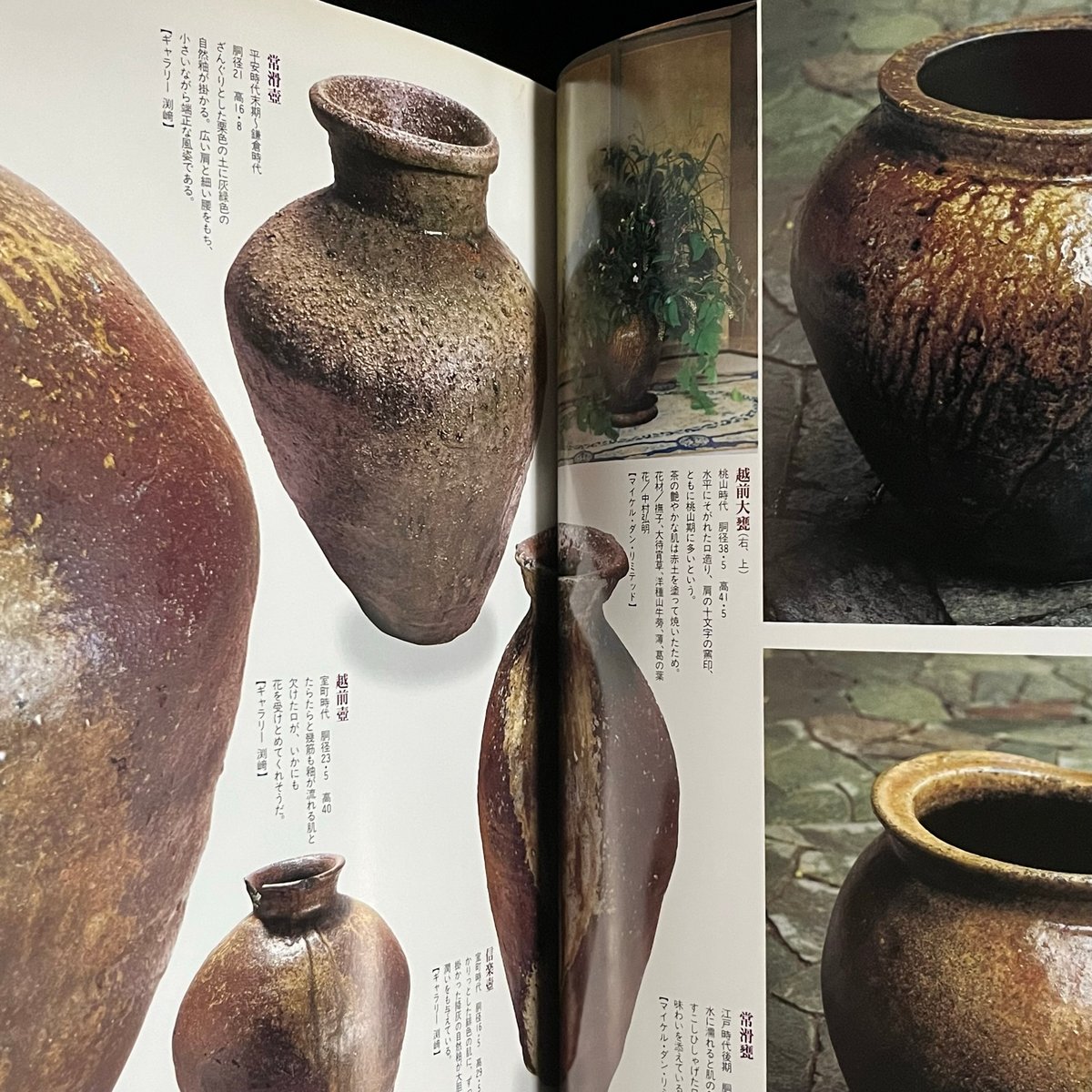別冊太陽 花の器づかい | Soleil et Lune Online Store