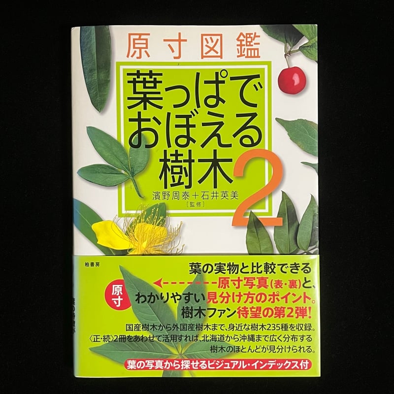 葉日月ページ 2026年1月始まり Bindex by NOLTY バイブルサイズ システム手帳