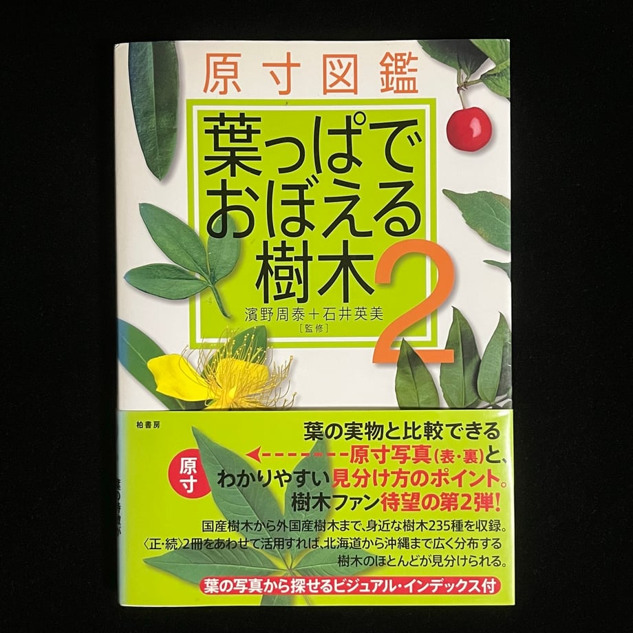65222b25cd3758000199729c
