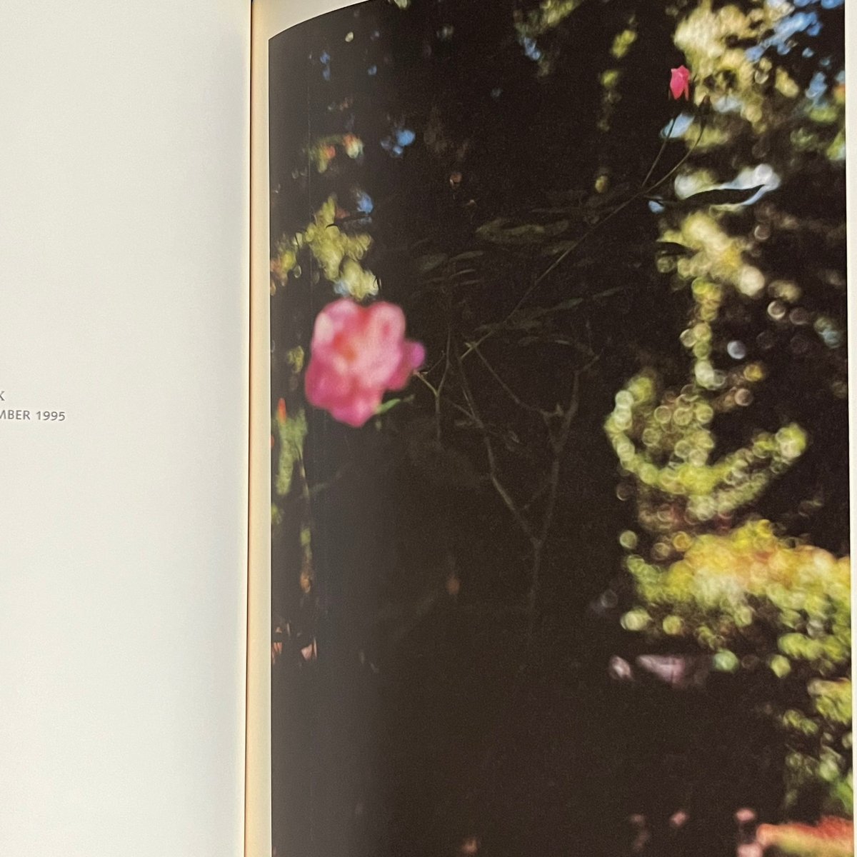 In Your Dreams | Soleil et Lune Online Store